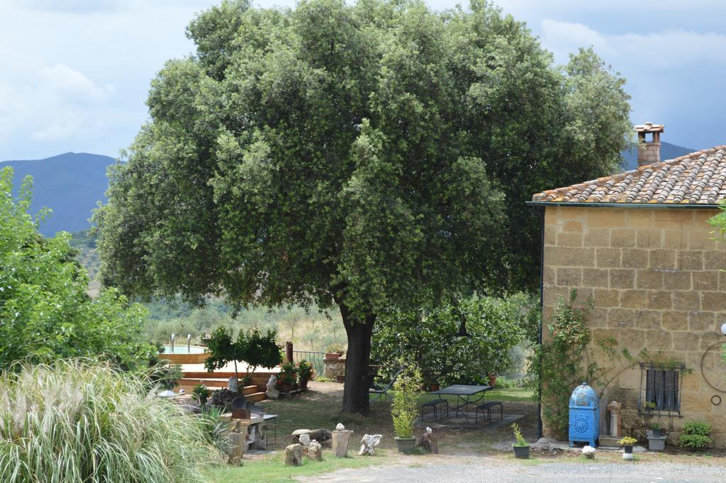 Agri-Bio Podere Santa Palmira بومارانسي المظهر الخارجي الصورة
